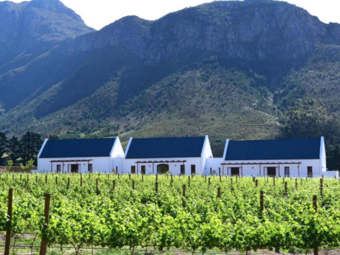 Chambray Estate - The Terraces In The Vines Bed and Breakfast Franschhoek Eksteriør billede