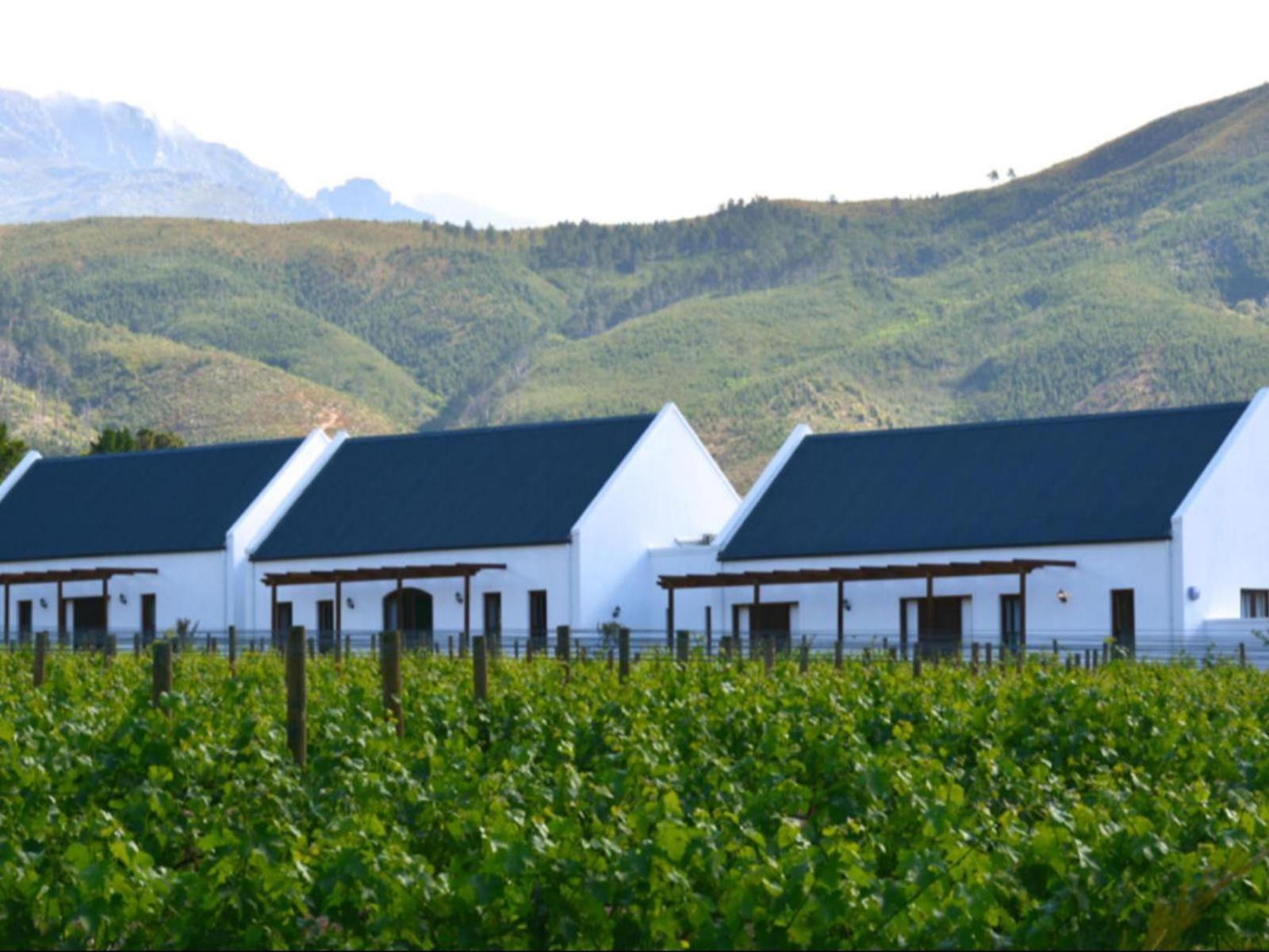 Chambray Estate - The Terraces In The Vines Bed and Breakfast Franschhoek Eksteriør billede
