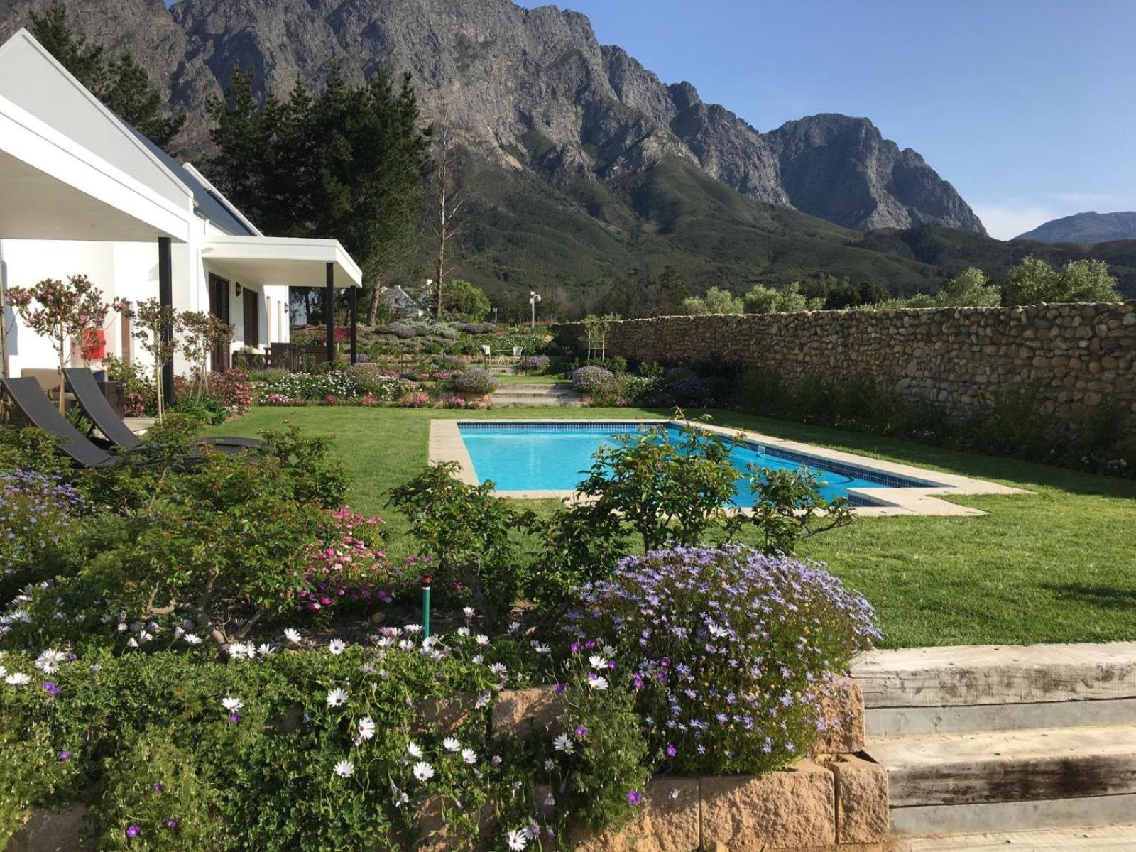 Chambray Estate - The Terraces In The Vines Bed and Breakfast Franschhoek Eksteriør billede