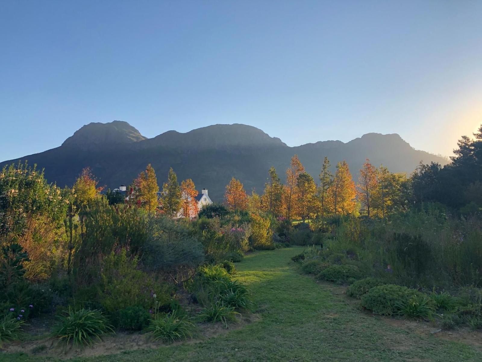Chambray Estate - The Terraces In The Vines Bed and Breakfast Franschhoek Eksteriør billede