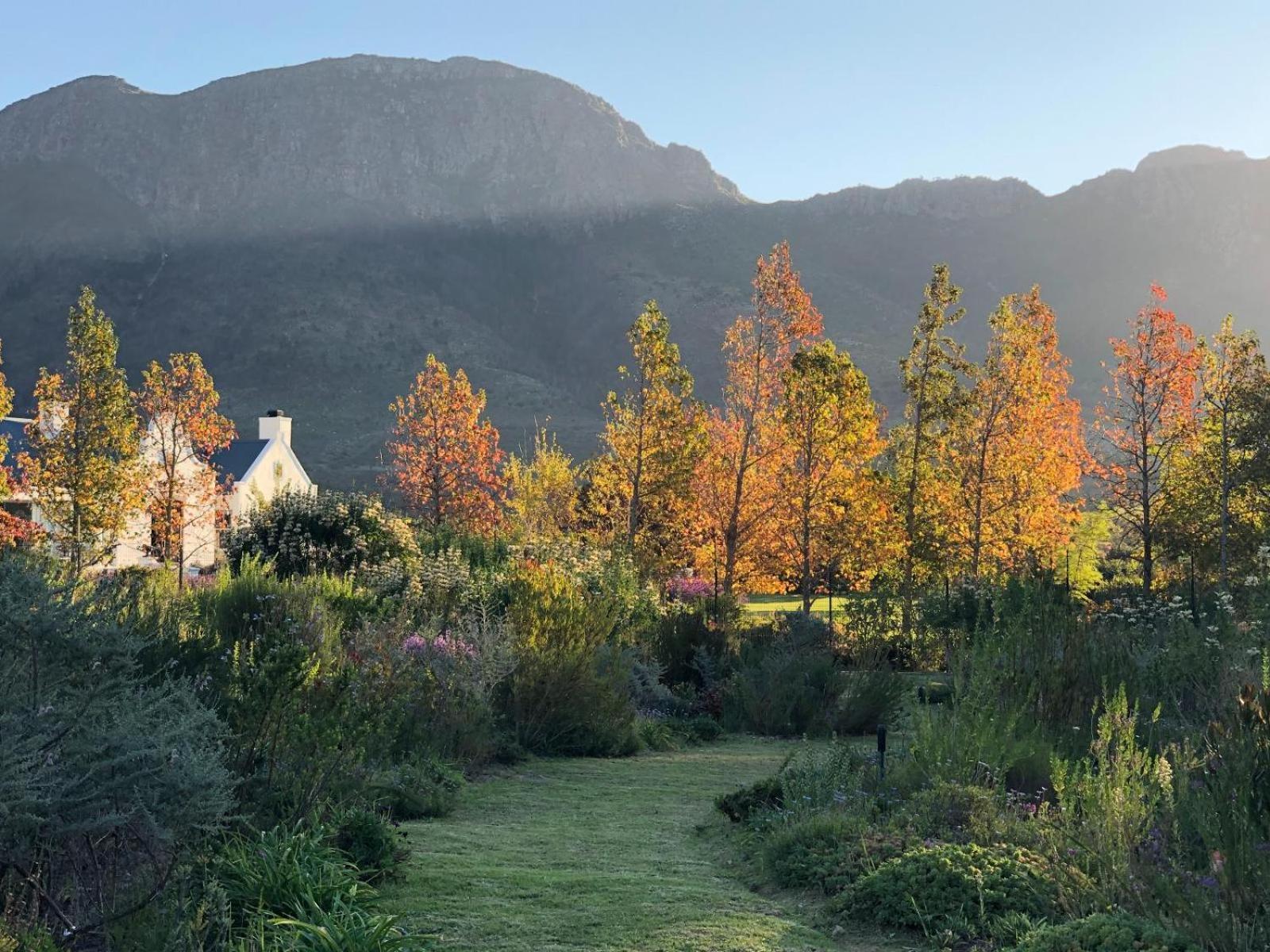 Chambray Estate - The Terraces In The Vines Bed and Breakfast Franschhoek Eksteriør billede