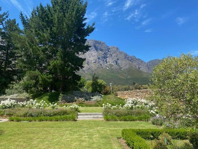 Chambray Estate - The Terraces In The Vines Bed and Breakfast Franschhoek Eksteriør billede